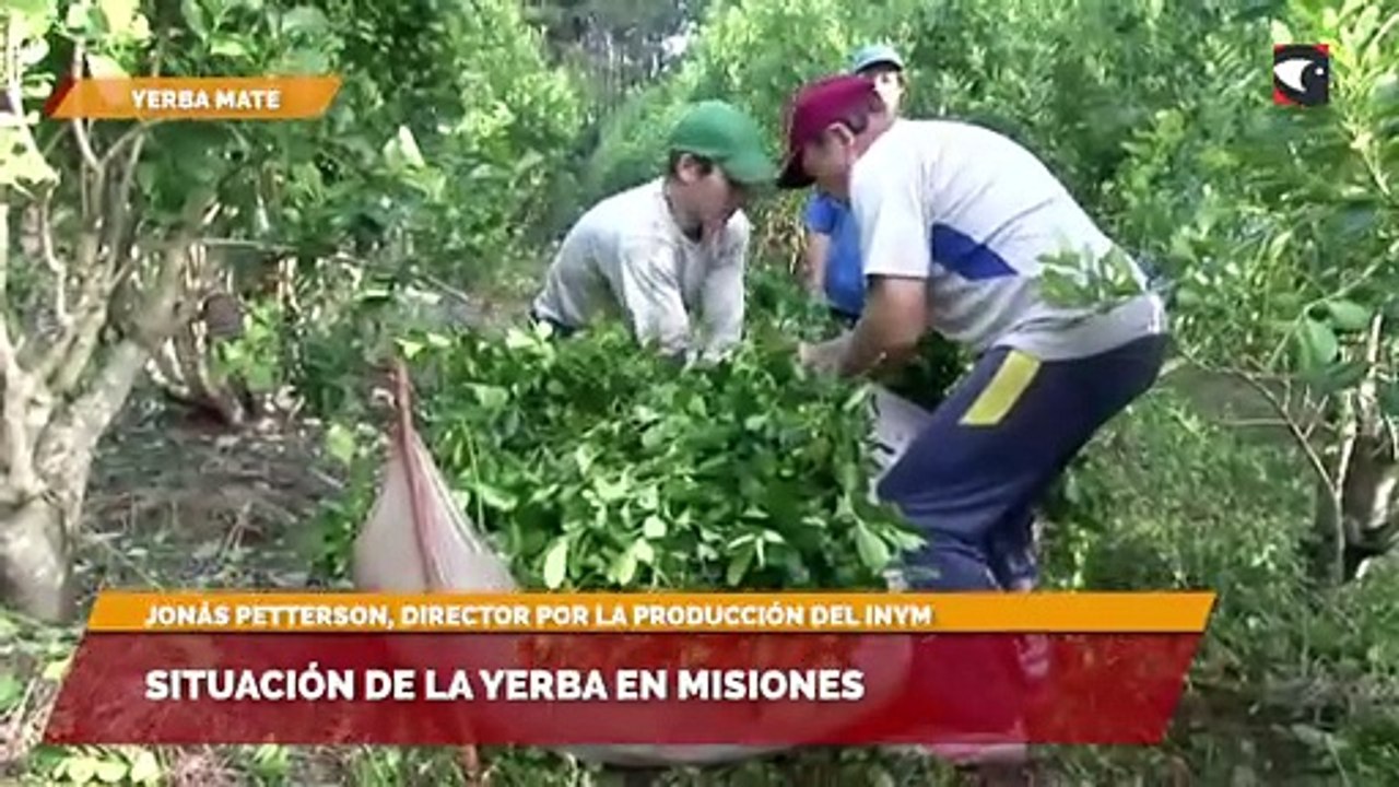 Elecciones en el INYM