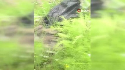 Son dakika haber! Hakkari'de ceviz büyüklüğünde dolu yağdı: 1 yaralı