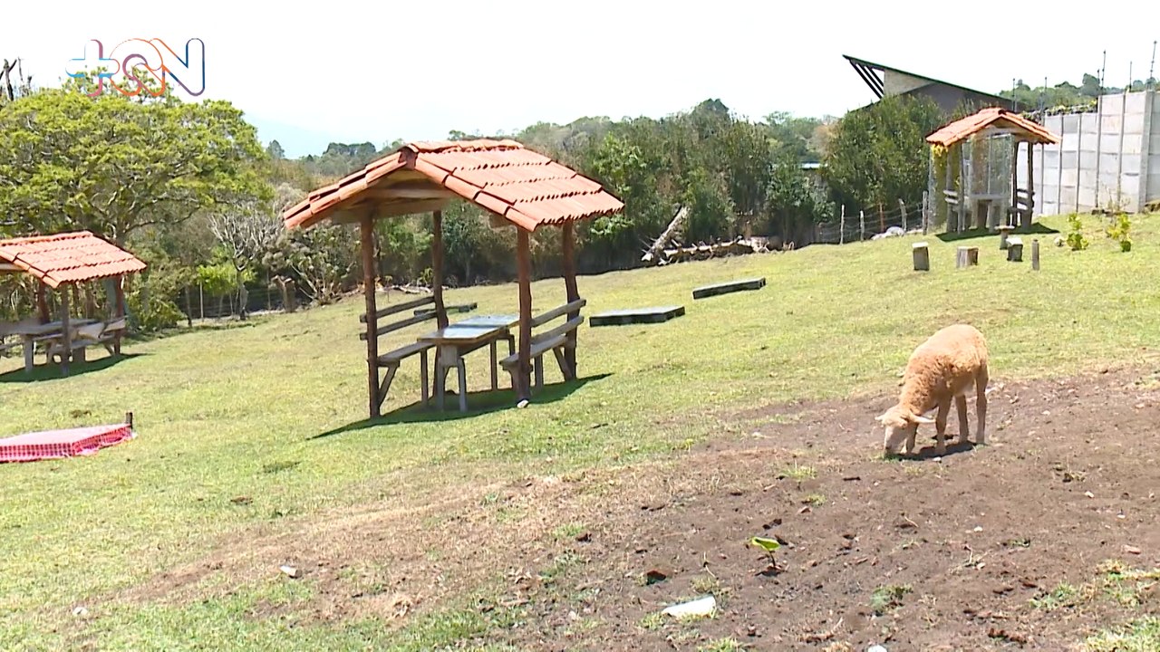 mqn-Una granja en San Isidro de Heredia para hacer paseo de un día en familia-060522