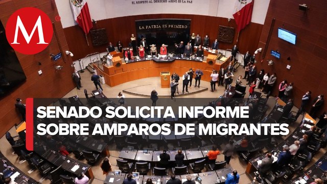 Senadores piden a INM informar sobre amparos de migrantes para transitar por México