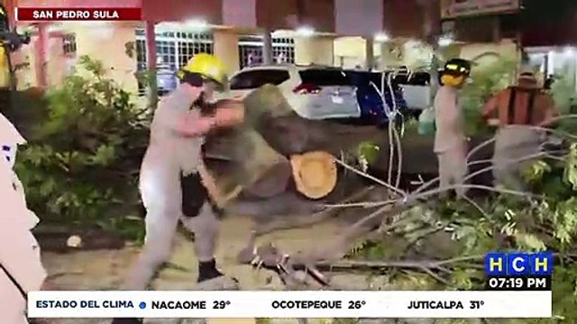 Árbol cae sobre un vehículo provocando pérdidas materiales en el bo. Los Andes de SPS