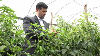 Diplomáticos de Irán visitan planta procesadora de carne nicaragüense