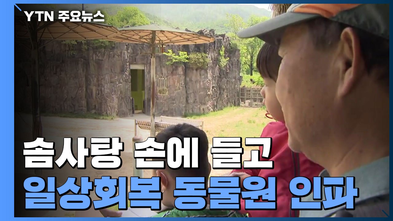 솜사탕 손에 들고...가정의 달·일상회복 동물원 인파 / YTN