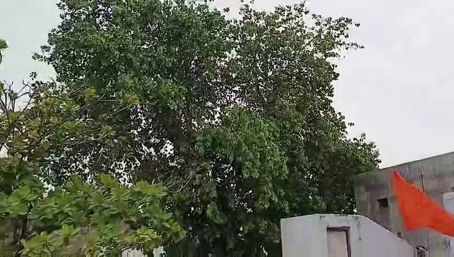तापमान में आई गिरावट, गर्मी से मिली राहत