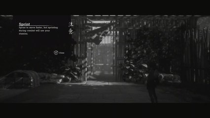 Trek to Yomi - Chapter 1 Reach Main Gates: Repel The Attack: Find Master Sanjuro_ Hiroki Kill Bandit