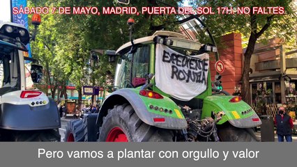 Manifestación Expediente Royuela
