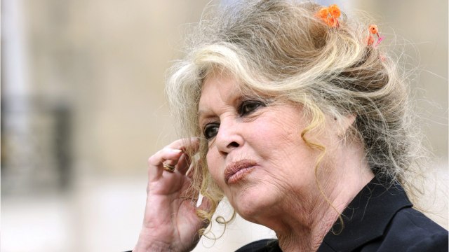 GALA VIDEO - « C’est une arnaque ! : Brigitte Bardot victime d’usurpation d’identité, elle alerte ses fans