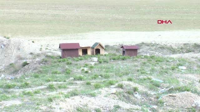 Köpeklerin saldırdığı liseliyi güvenlik görevlisi kurtardı