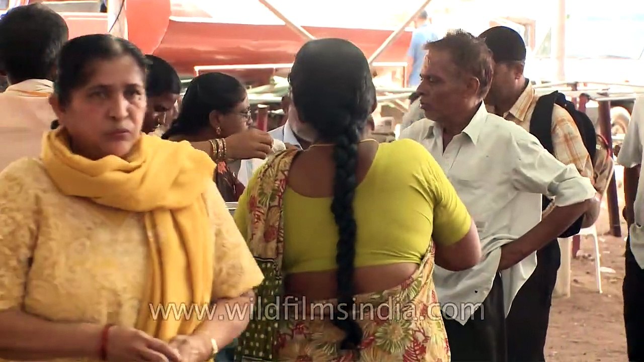 Swallowing live fish - remedy that freaks you out!