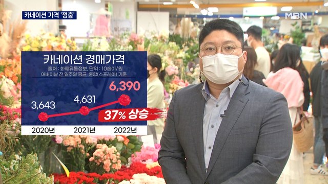 어버이날 카네이션 대목인데…꽃집은 '한숨' 농가는 '울상'