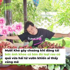 Loạt sao Việt sở hữu biệt thự triệu đô, miệt vườn "cò bay mỏi cánh" | Điện Ảnh Net