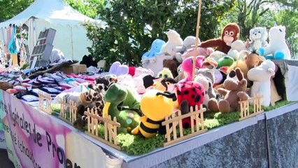 Les images du Beau Printemps qui se tient tout le week-end à Martigues