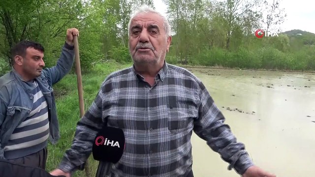 Islah edilmeyen çay taştı: Ürünler su altında kaldı