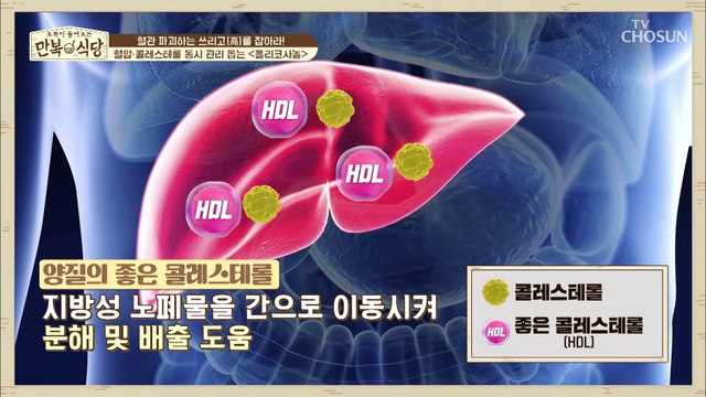 혈압+콜레스테롤까지 한 번에✌️ 관리해 주는 폴리코사놀! TV CHOSUN 20220507 방송