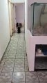 Animais são resgatados de situação de maus-tratos em Vila Velha