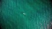 43.Ocean Swimming - Aerial Footage - Free HD Stock Footage - No Copyright -