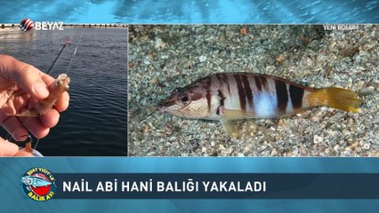 Suat Yiğit ile Balık Avı 7 Mayıs 2022