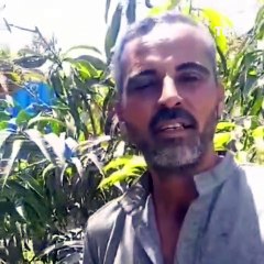 كلب جربان.. شاهد عيان يروي حقيقة حيوان الاسماعيلية الغربب