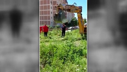 Kanalizasyon çukuruna düşen inek telef oldu