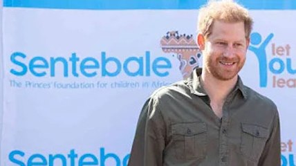 Prince Harry orphan charity took thousands in furlough cash from taxpayer