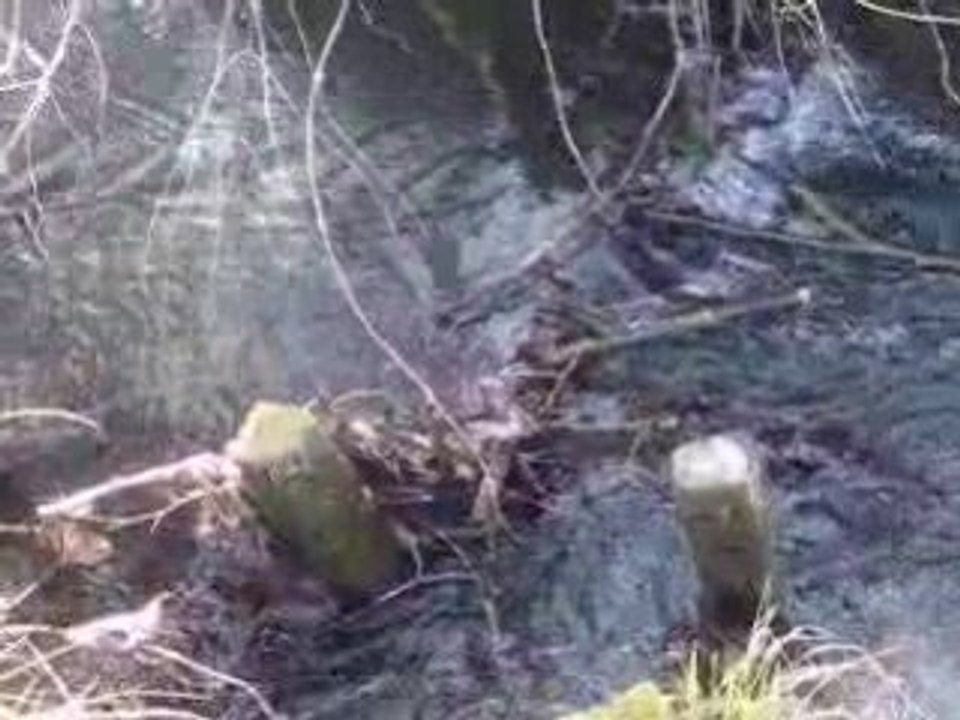 Water sound