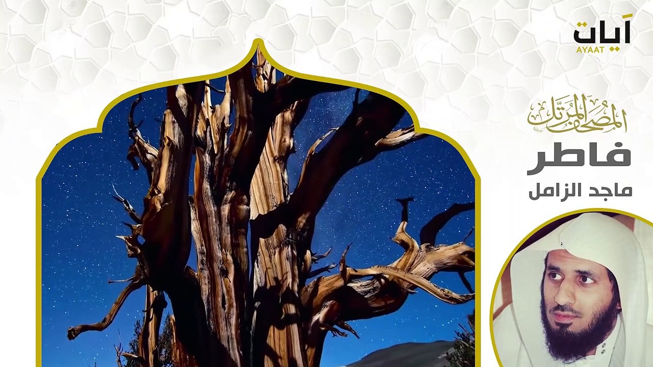 সূরা ফাতির  |  Surah Fatir | سورة فاطر |  Beautiful Quran Recitation