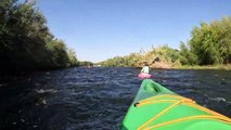 Wild Horses Cross River in Front of Kayakers