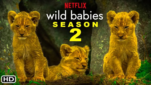 Wild Babies Season 2 Trailer (2022) Netflix, Release Date, Episodes, Ending Explained, Review,Plot