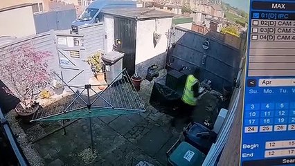 Guard Rabbit Chases Delivery Person