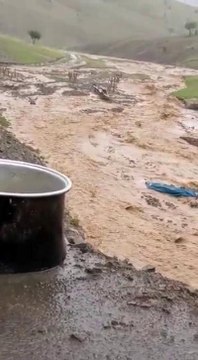 Son dakika haberi: Siirt'te sel: 30 küçükbaş hayvan telef oldu