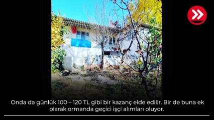 'Bizi ajan sandılar!' Sadece 15 bin TL ile yola çıkıp başardılar