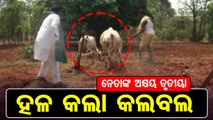 News Fuse | Special story on political leaders' spree of enacting as farmers On Akshay Tritiya