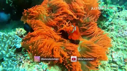 Sekeping Surga yang Hilang di Likupang - JALAN JALAN