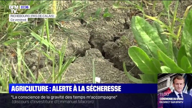 Sécheresse: la difficulté des agriculteurs du Nord-Pas-de-Calais