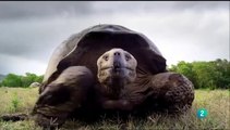 Galápagos con David Attenborough 3/3:  Evolución - Documental