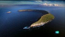 Galápagos con David Attenborough 1/3: Origen - Documental