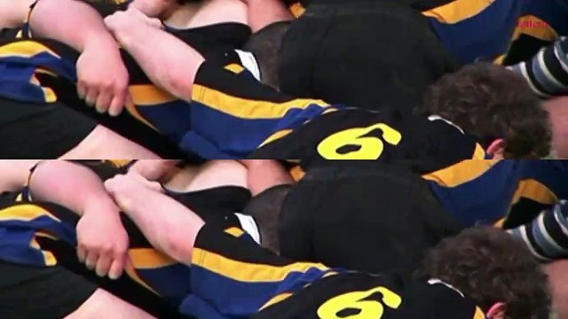 Charlène de Monaco : tendre et câline avec ses enfants, elle a fait sensation lors d’un tournoi de rugby