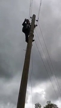 Köy muhtarı elektrik kesintisini protesto için direğe çıktı: Ben AK Parti üyesiyim, bize hizmet edilmiyor