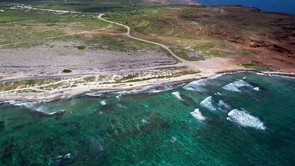 tropical island (Original)