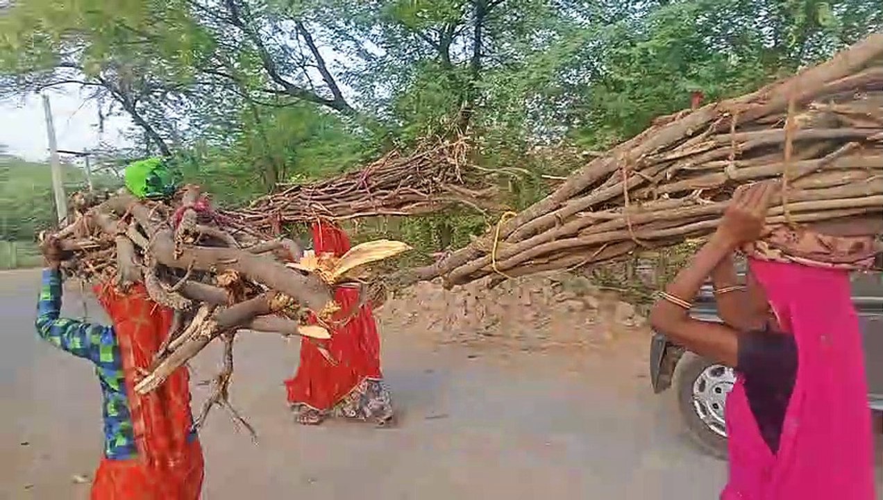 Gas Cylinder : पहुंच से दूर हुआ गैस सिलेण्डर को याद आए चूल्हे Video