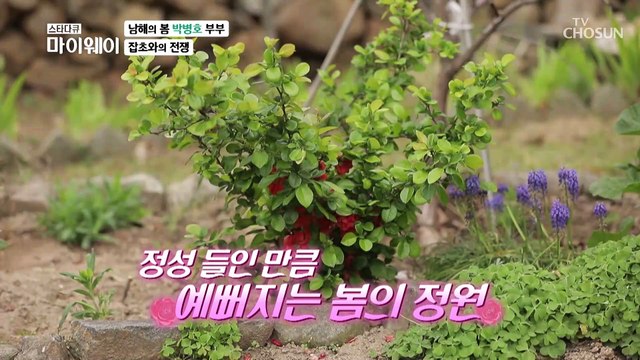 환상의 호흡 마당에 골프장 만들기 프로젝트 TV CHOSUN 20220508 방송