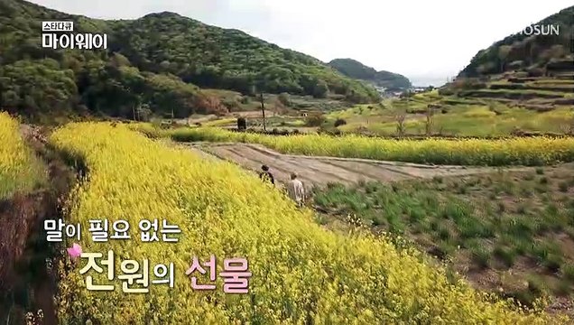 【최고의 순간】 박병호 부부의 봄나들이 산책~ TV CHOSUN 20220508 방송