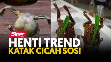 Henti trend katak cicah sos!