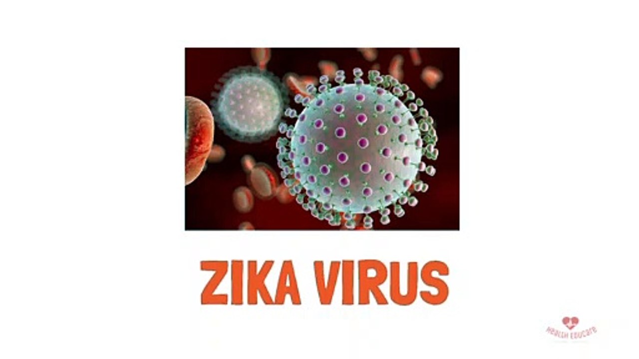 Zika Virus (mosquito bites in tropical and sub tropical areas)