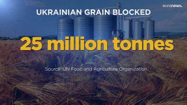 Ukrainian farmers export their harvest via Romania