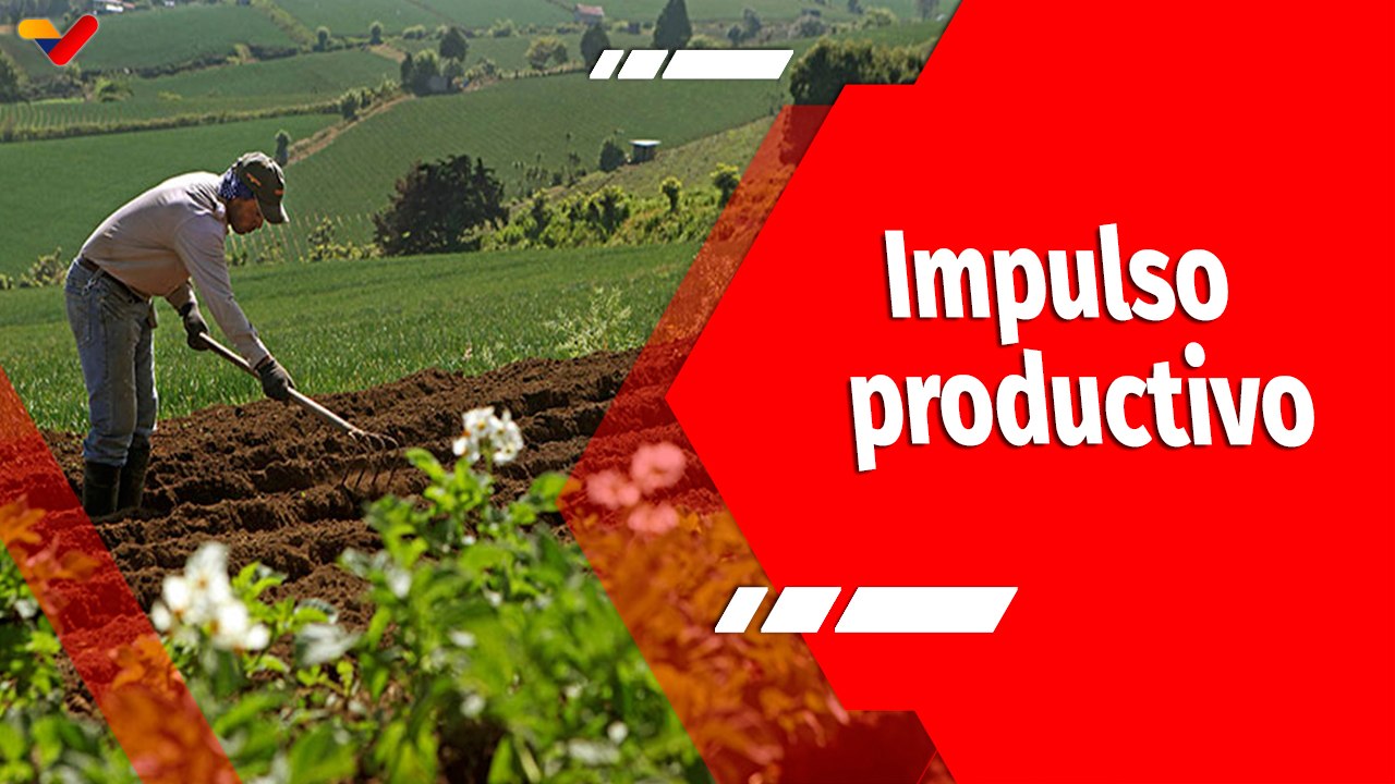 Resumen Aló Presidente | Impulso productivo de Venezuela