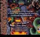 Troddlers online multiplayer - snes