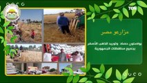 متابعة وزارة الزراعة لموسم حصاد وتوريد القمح