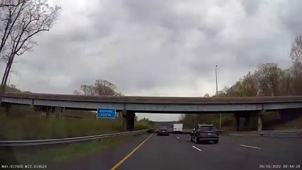 Nearly Hitting a Black Bear on the Interstate