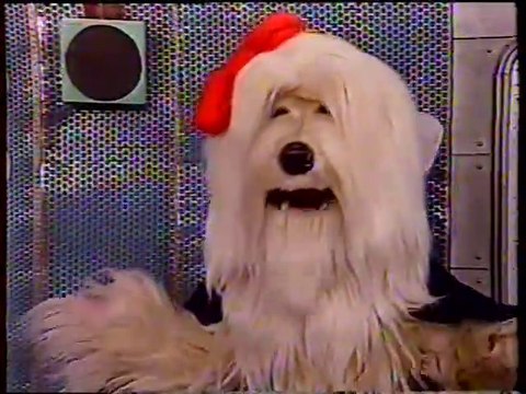 TV COLOSSO - SETE ANÕES